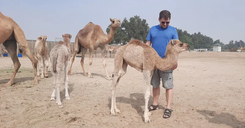 جولة صحراوية في البحرين لنصف يوم